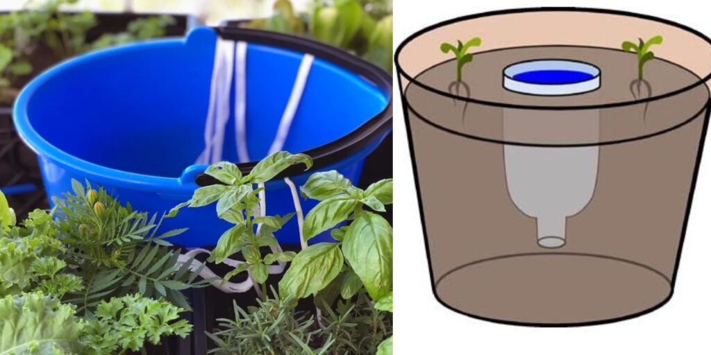 Effortless Gardening How to Build a DIY Water Reservoir for Your